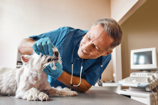 Best Weekend Emergency Dentist in Jefferson, TX